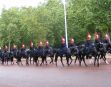Parade of horses - Westminster treasure hunt