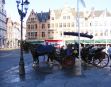 Horses in Markt - Bruges treasure hunt
