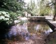Stream at Shere - Surrey treasure hunt